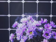 -HANA COFFEE(长寿路店)