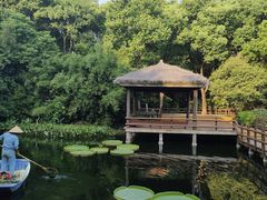 -上海滨江森林公园