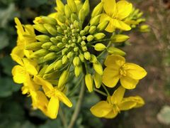 -寻龙山风景旅游区