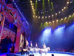 -珠海横琴长隆《卡卡虎奇遇记》