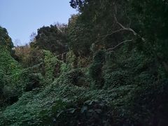 -南京市江宁方山