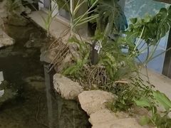 -见康道莱•足浴按摩•艾灸•SPA(友谊店)