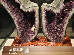 -正佳自然科学博物馆