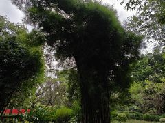 -晓港公园