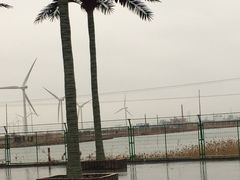 -小洋口旅游度假区