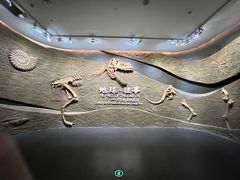 -柳州白莲洞洞穴科学博物馆