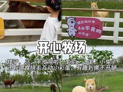 -盈香心动乐园