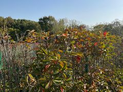 -昆山城市生态森林公园