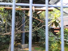 -上方山森林动物世界