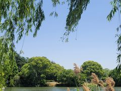 -尚湖风景区