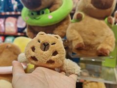 -博览书店(番禺石楼店)