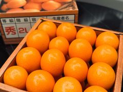 -油麻地果栏