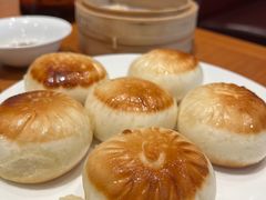 -頂好酒家·经典粤菜(海信广场店)