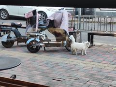 -袁记串串香(北国店)