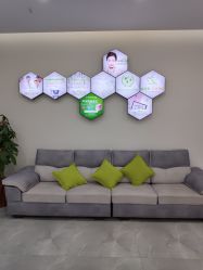 -莱可美科技美肤