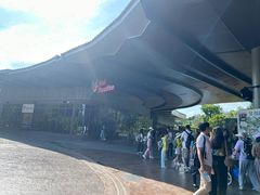 -新加坡飞禽公园