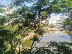 景点-横岗人民公园