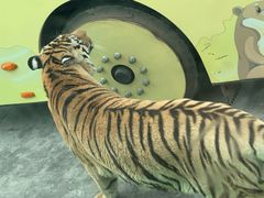 -西安秦岭野生动物园