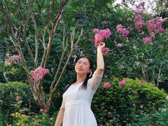 -杭州城北体育公园