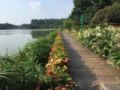 -南国桃园旅游度假区