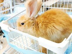 -怪兽屋·羊驼·猫咖·狗咖(俊华广场店)