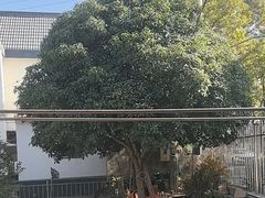 -上海老范农家乐(崇明前卫村店)