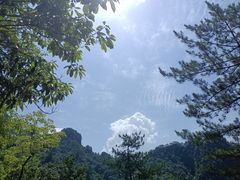 -光雾山旅游景区