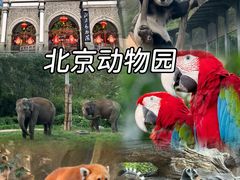 -get pizza意大利餐厅(凯德MALL店)