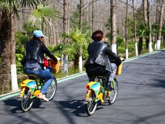 -合肥滨湖国家森林公园