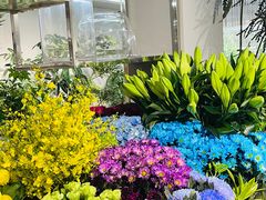 -靳晖金百合花艺GOLDENLILY(南院门店)