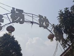 -老杨砂锅鱼庄