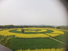 -苏州太湖西山岛开心农场