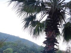 -宁波松兰山滨海旅游度假区