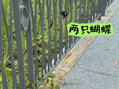 -观澜湖生态运动公社