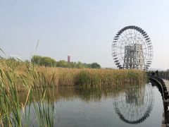 -太湖湖滨国家湿地公园-停车场