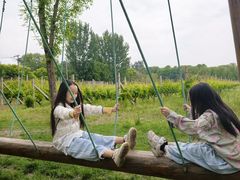 -圣露庄园·露营·烤肉·亲子
