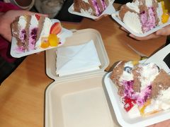 -维尔纳斯·生日蛋糕·动物奶油冰淇淋蛋糕(雨花店)