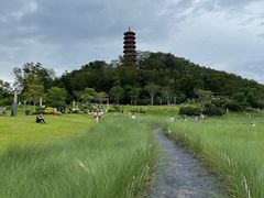 -红花山公园