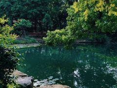 -广西壮族自治区药用植物园