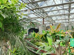 -南宫五洲植物乐园