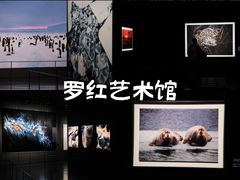 -罗红摄影艺术馆