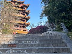 -黄鹤楼公园(黄鹤楼)