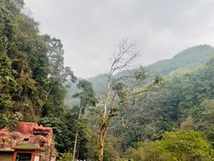 -赤水丹霞旅游区·大瀑布