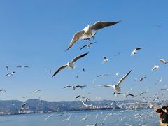 -海埂大坝