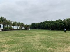 -深圳湾公园(南山区)