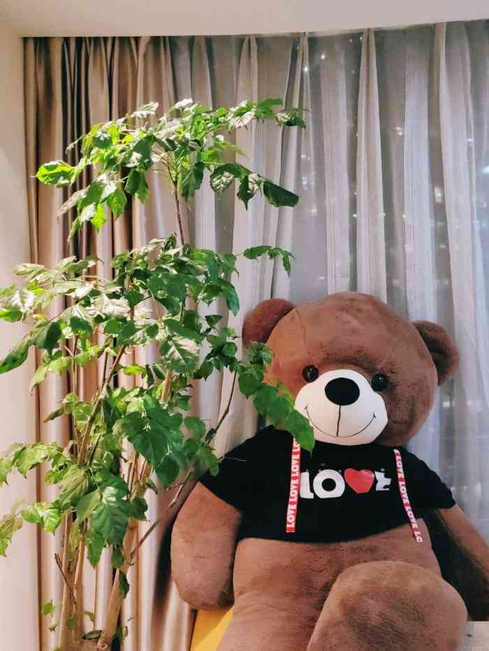 逅宫massage·spa-"苏州探店报告寒冷的冬天 泡个澡是非.