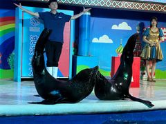 -成都浩海立方海洋公园