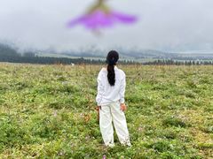 -新疆那拉提国家旅游度假区