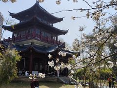 -堤角公园