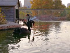 -行者书屋大堂吧 ·下午茶(南京圣和府邸酒店)